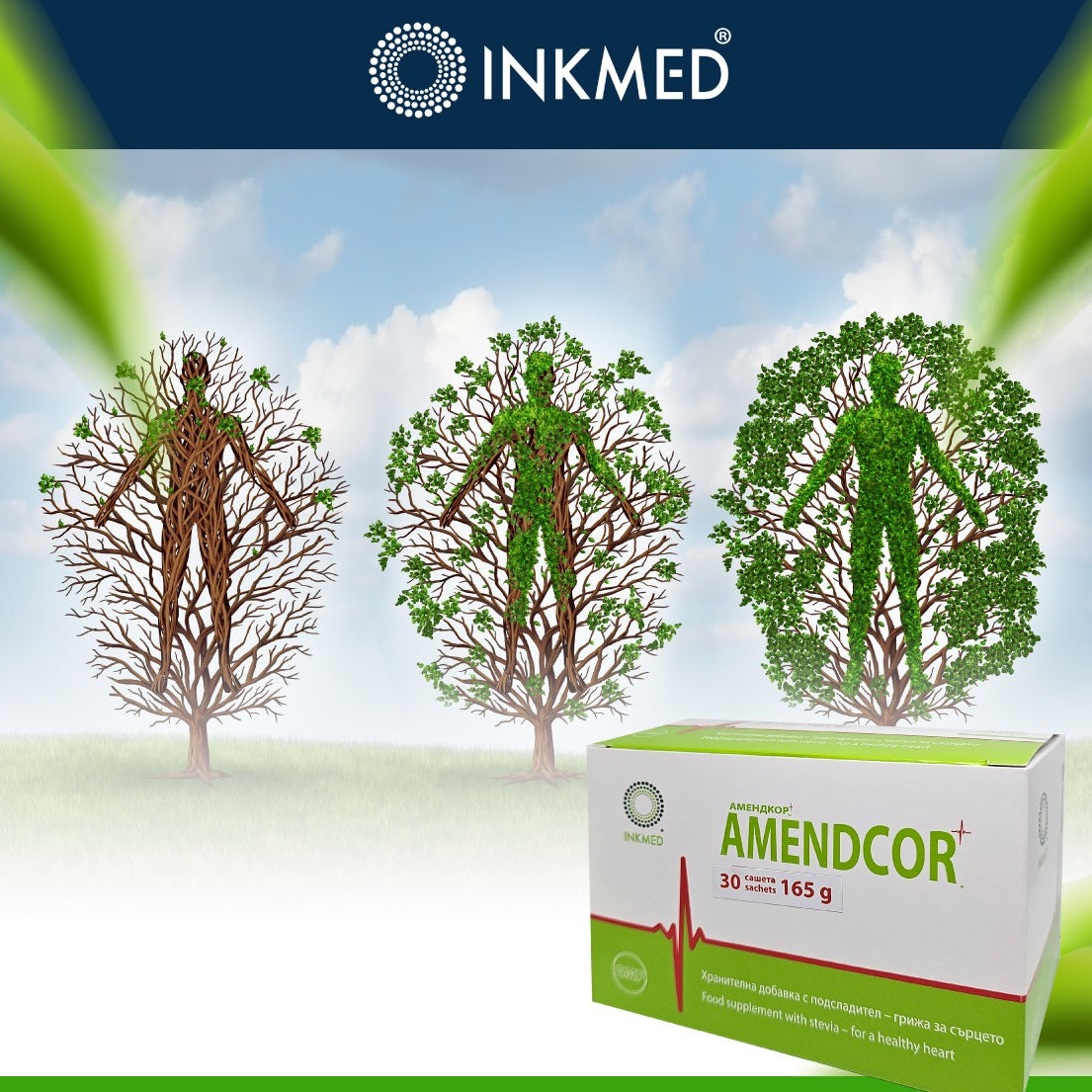 Amendcor - Възстановява енергията и подкрепя сърдечната функция.