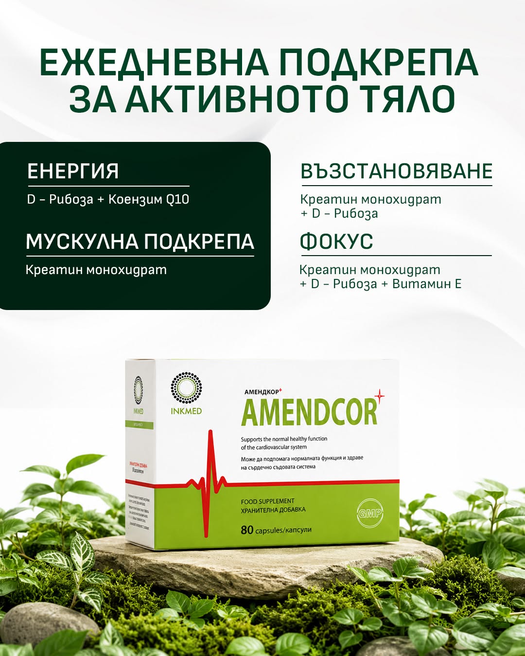 Amendcor - Възстановява енергията и подкрепя сърдечната функция.
