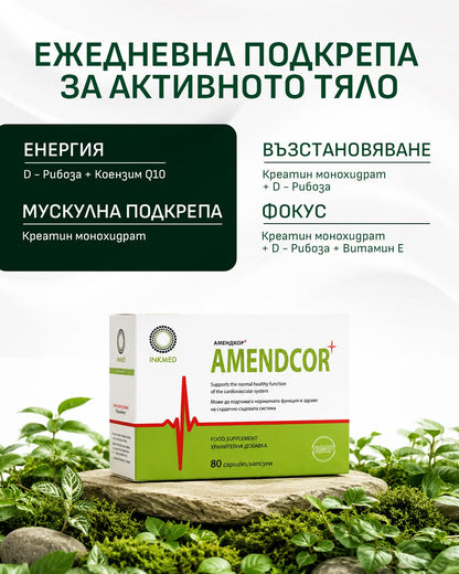 Amendcor - Възстановява енергията и подкрепя сърдечната функция.