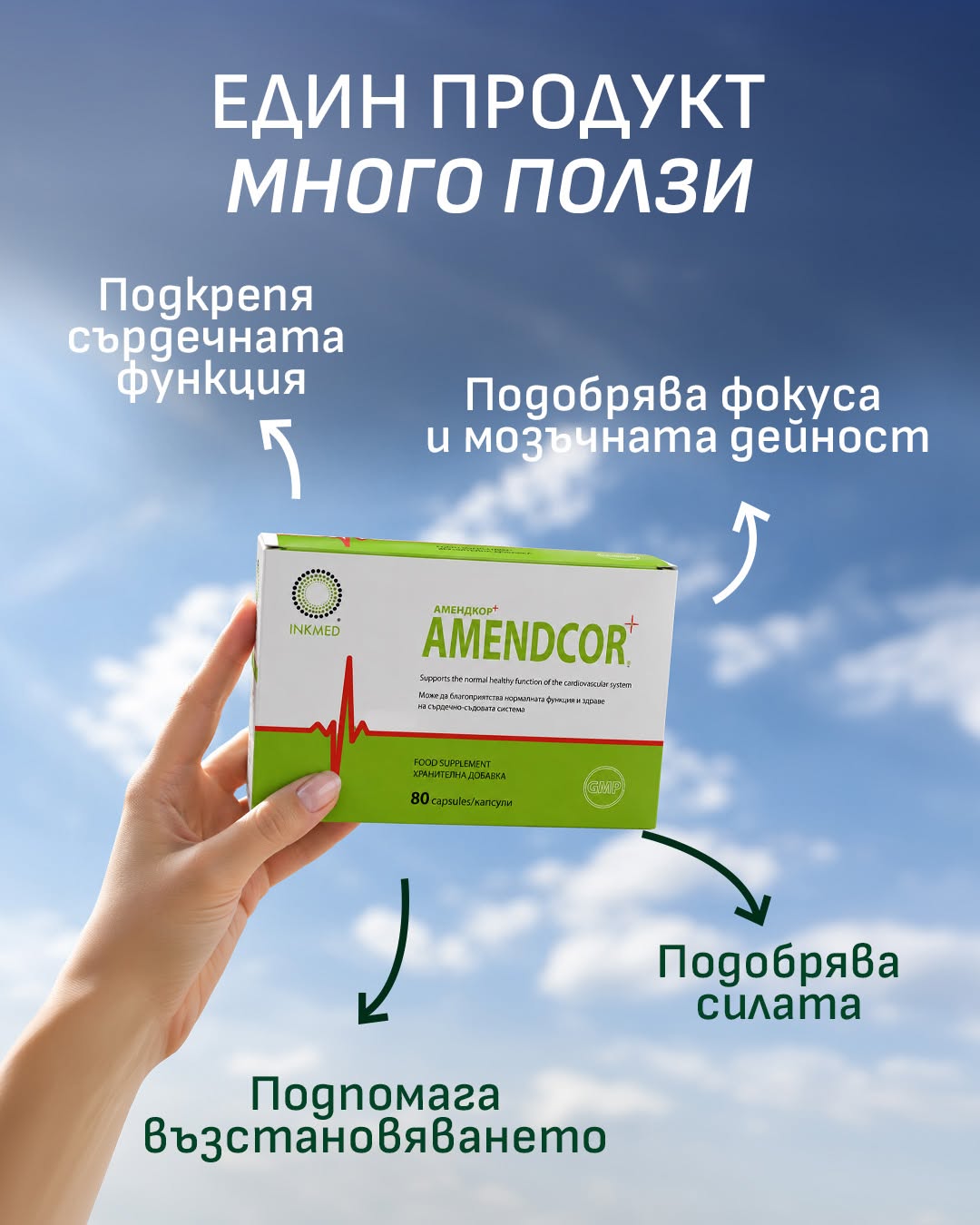 Amendcor - Възстановява енергията и подкрепя сърдечната функция.